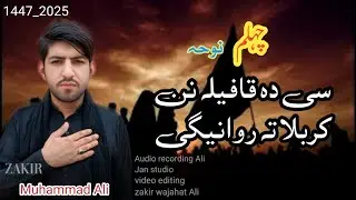 Se da kafela nan karbala ta rawanege #pashto Noha | zakir Muhammad Ali | chihlam Noha 2025 
