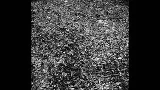 Flittering: Flittering [Full Album]