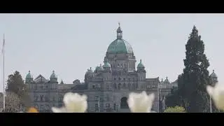 Exploring Victoria: Discovering the Beauty of this Captivating City