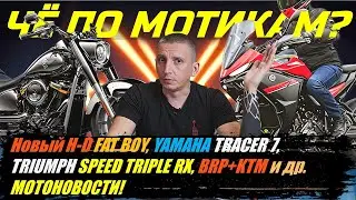 ЧЁ ПО МОТИКАМ? НОВЫЙ H-D FAT BOY, YAMAHA TRACER 7, SPEED TRIPLE RX, BRP+KTM и др. МОТОНОВОСТИ!