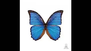 Monoteck - Hired (Cihan Mareno Remix)