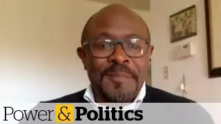 Canada should collect race-based COVID-19 data, says expert | Power & Politics