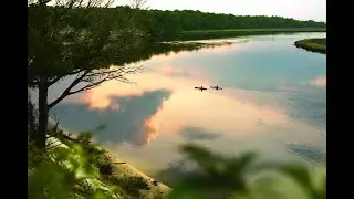 Wildlight - Florida Lowcountry Living