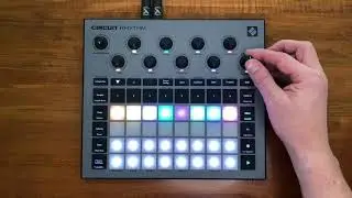 Bits & Beats | More Lo-Fi House on Circuit Rhythm