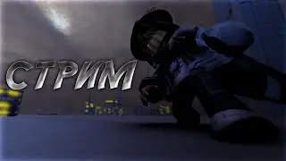стримец!