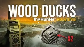 Askiy Ridge Diamond Duck Hunt &ndash; Wood Duck & Pintail Trophies in Stunning Scenery