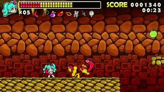 Wonder Boy Returns Remix (World 5)