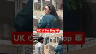 UK లో Pet shops ఎలా ఉంటాయో తెలుసా? #ukvlogs #teluguukvlogs #studentinuk #ukteluguvlogs #shortsfeed