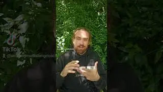 What Does 