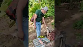 &iquest;Sab&iacute;as esto de la costa pac&iacute;fica? 🌊Aqu&iacute; no entras con arena a la casa🚿
