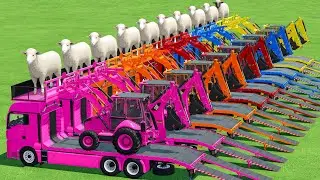 Delivered Sheep With Animal LOADER & JCB & Transporter In Fs22 | Farming Simulator 22