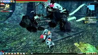 MabinogiHeroes Vindictus Ingkara HERO Hammer Fiona solo