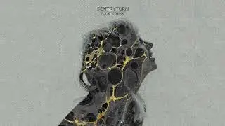 Sentryturn &ndash; Upon A Mess | Full Album