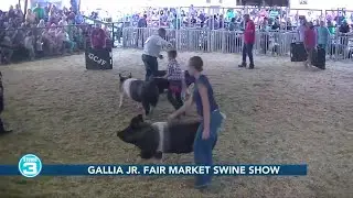 Gas Tank Getaway | Gallia County Junior Fair