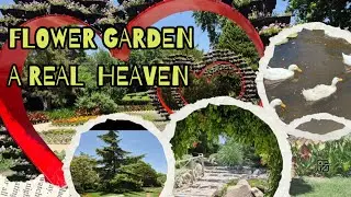 Isfahan's Hidden Garden Paradise Will Leave You Speechless