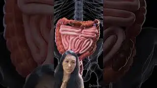 Loose Stools Constipation treatment with Homeopathy  #homeopathy #constipation