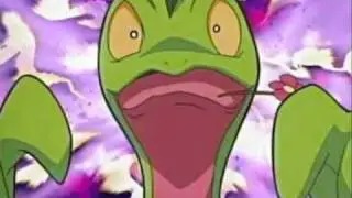 Pok&eacute;mon Massko