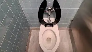 American Museum of Natural History toilets 