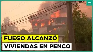 Devastador incendio forestal en el BioBío: Fuego alcanzó viviendas en Penco