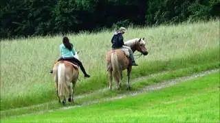 Zuhause - Sommerweide