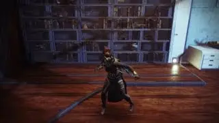 Destiny 2: Dancing to Shaxx's Workout music
