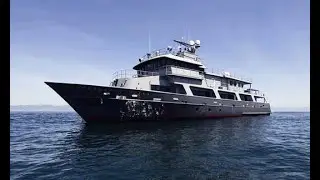 Socorro Vortex - Mexico liveaboard diving