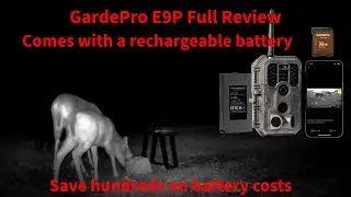 Does GardePro E9P Trail Camera REALLY Save You Hundreds Of Dollars?