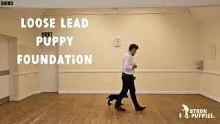 Loose Lead: Puppy Foundation