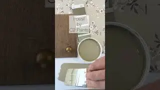 Fossil by C2 Paints is a beautiful warm earthy olive green paint color perfect for your space.