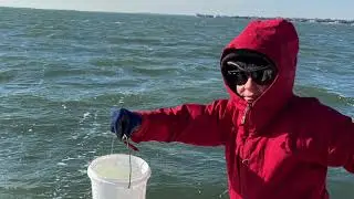 HOW TO MAKE SEA SALT | DIY SEA SALT | OCEAN WATER SALT