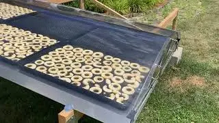 How to Dry Food Naturally with a Solar Dehydrator