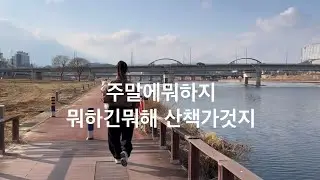 [Vlog.3]별거없네하루 | 개산책시키는사람  | 새해라니 | 두쫀쿠| 먹고걷고먹고걷고