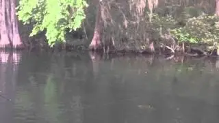 Fishing with Bill Woodard