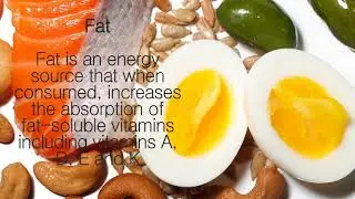 6 Essential Nutrients and Their Functions | Nutrition Pass