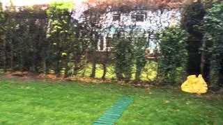 Fencing services in Great Bookham, Surrey