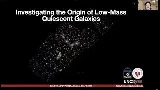 Investigating the Origin of Low-Mass Quiescent Galaxies