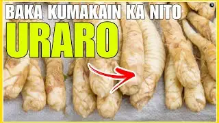 Baka Kumakain Ka ng URARO o ARROW ROOT Panoorin Mo muna Ito | Bhes Tv