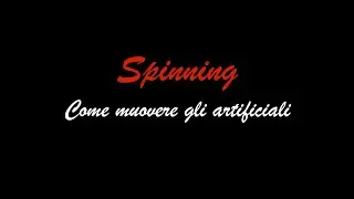 #68 - SPINNING - Come muovere gli artificiali