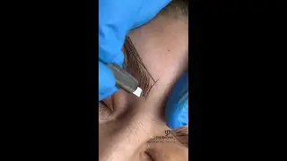 Phi Brows Showreel
