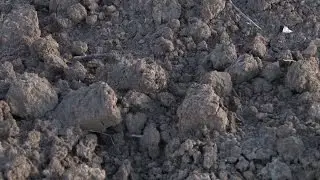 Cadmium Remediation in Soil