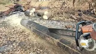The best way to saw coconut wood to makeblocks for cow pens.Tree Black 100year