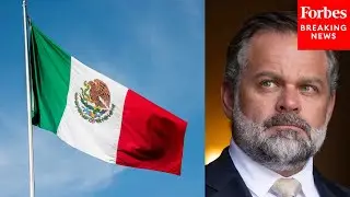 Cory Mills Grills Narcotics Expert On Mexico's Response To Cartels Being Designated As Terrorists