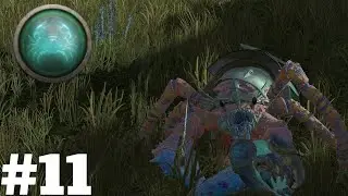 PROTEGENDO O REI! - #crab - Arthron - #totalwarwarhammer3 #11