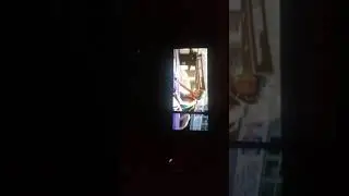 Велодень 2019
