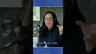 Activated Mast Cells: What Happens?