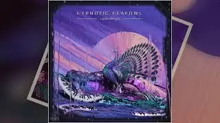 Hypnotic Peafowl & Bendja - The Mind Box
