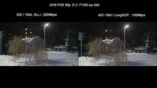 GH5. FHD50p  422/10bit  vs  420/8bit