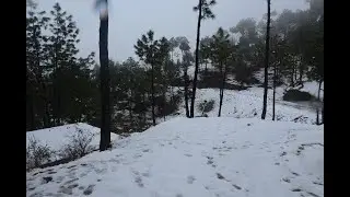 Snowfall | The Ewen Park