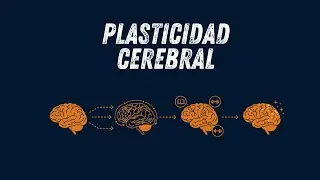 🧠 Plasticidad cerebral: tu cerebro puede cambiar? | Temporada 2 #40