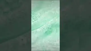 Эстетика мятного